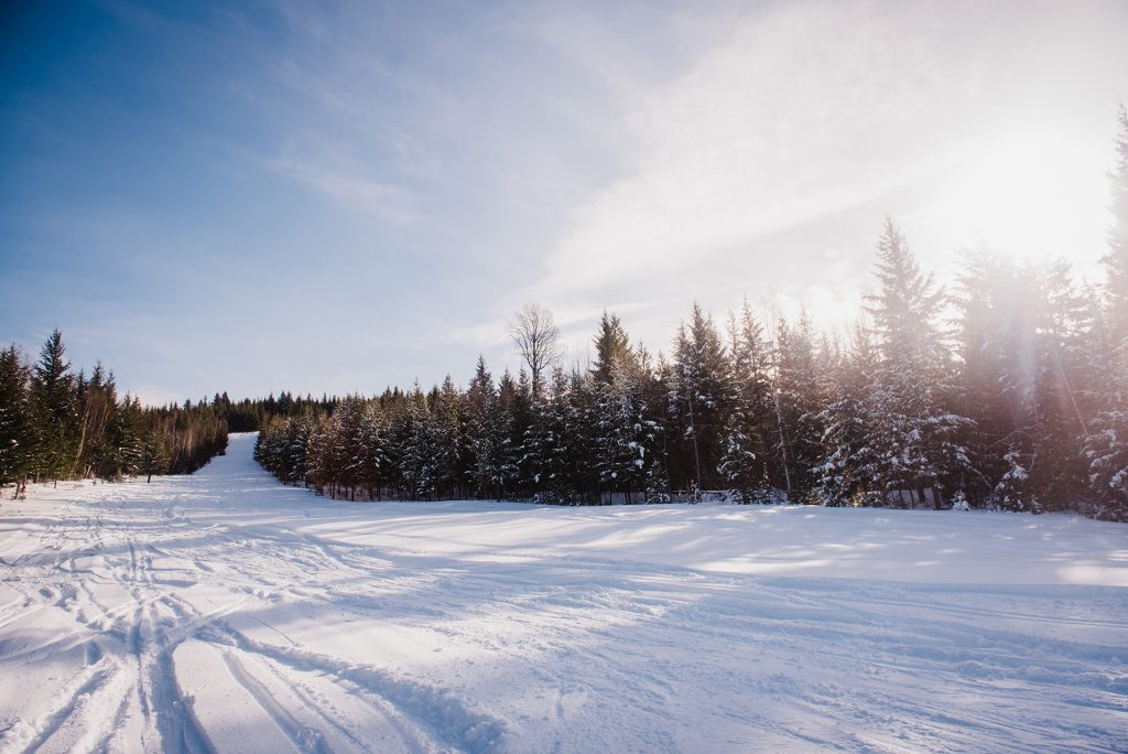 Clearwater Ski Trails - photo by Holly Louwerse Photography